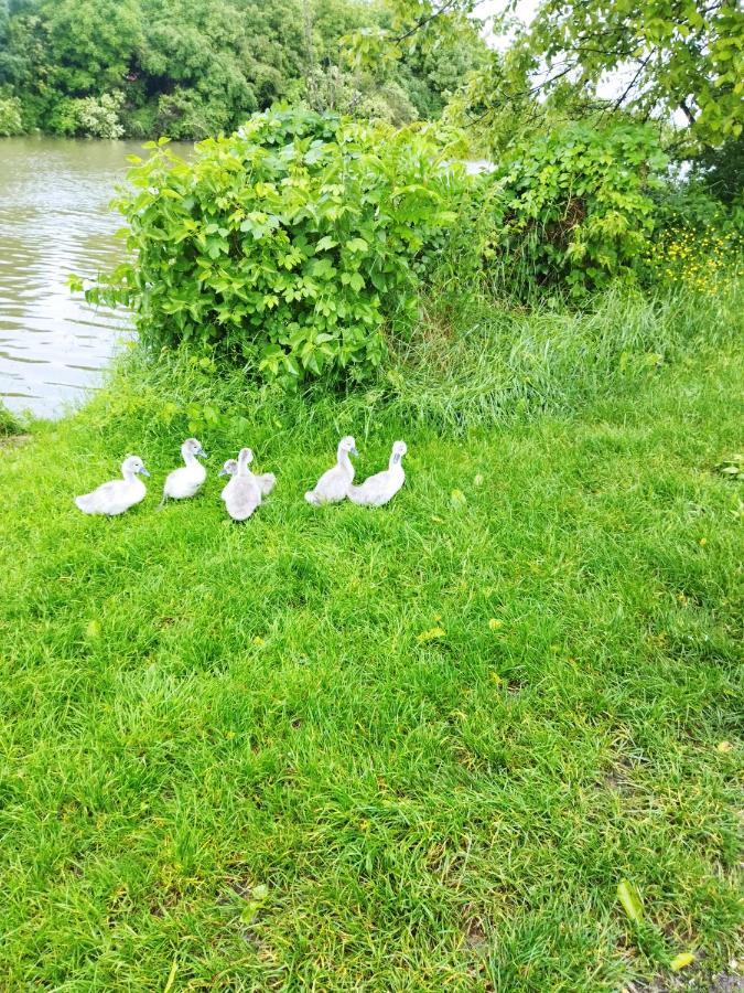 Apartman Na Jezeru Zagreb Buitenkant foto