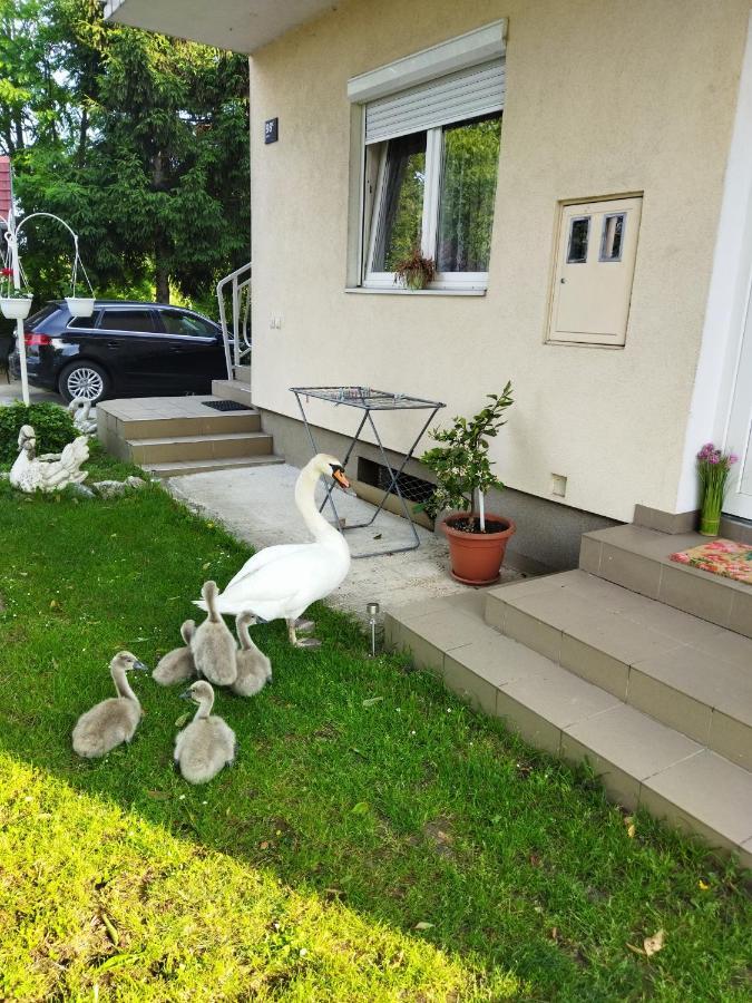 Apartman Na Jezeru Zagreb Buitenkant foto