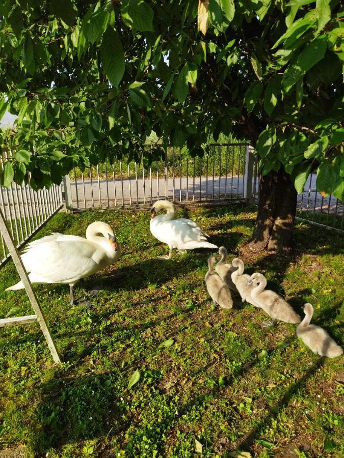 Apartman Na Jezeru Zagreb Buitenkant foto